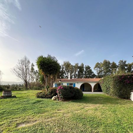 San PriamoBidd'E Majori住宿加早餐旅馆 外观 照片