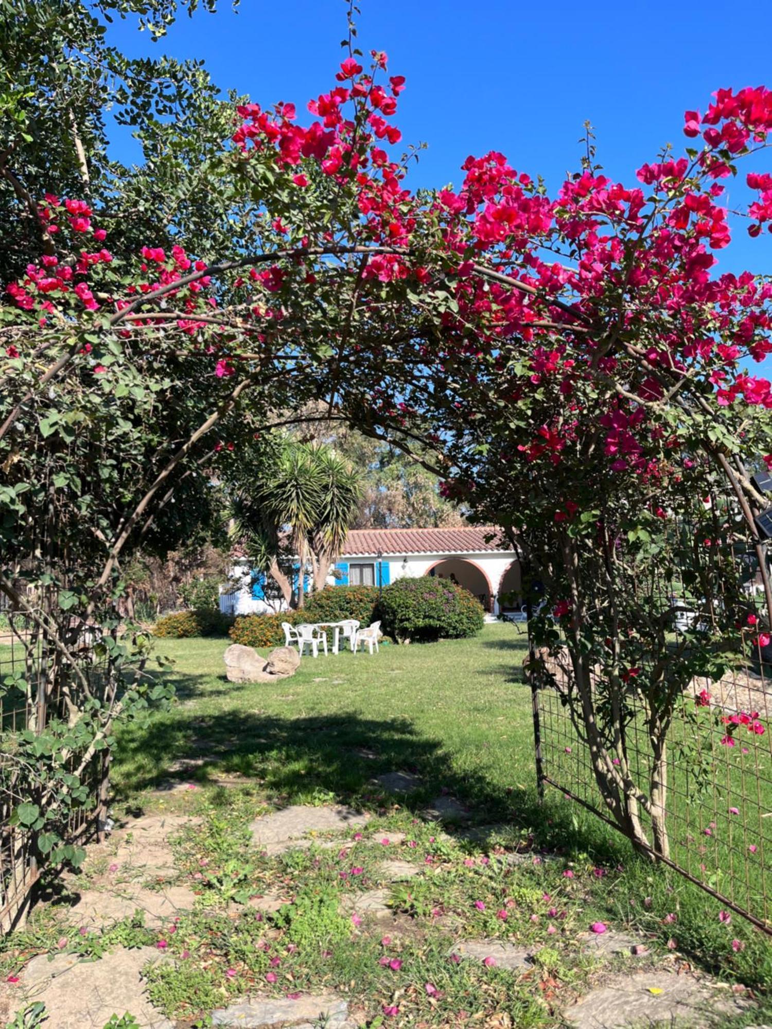 San PriamoBidd'E Majori住宿加早餐旅馆 外观 照片