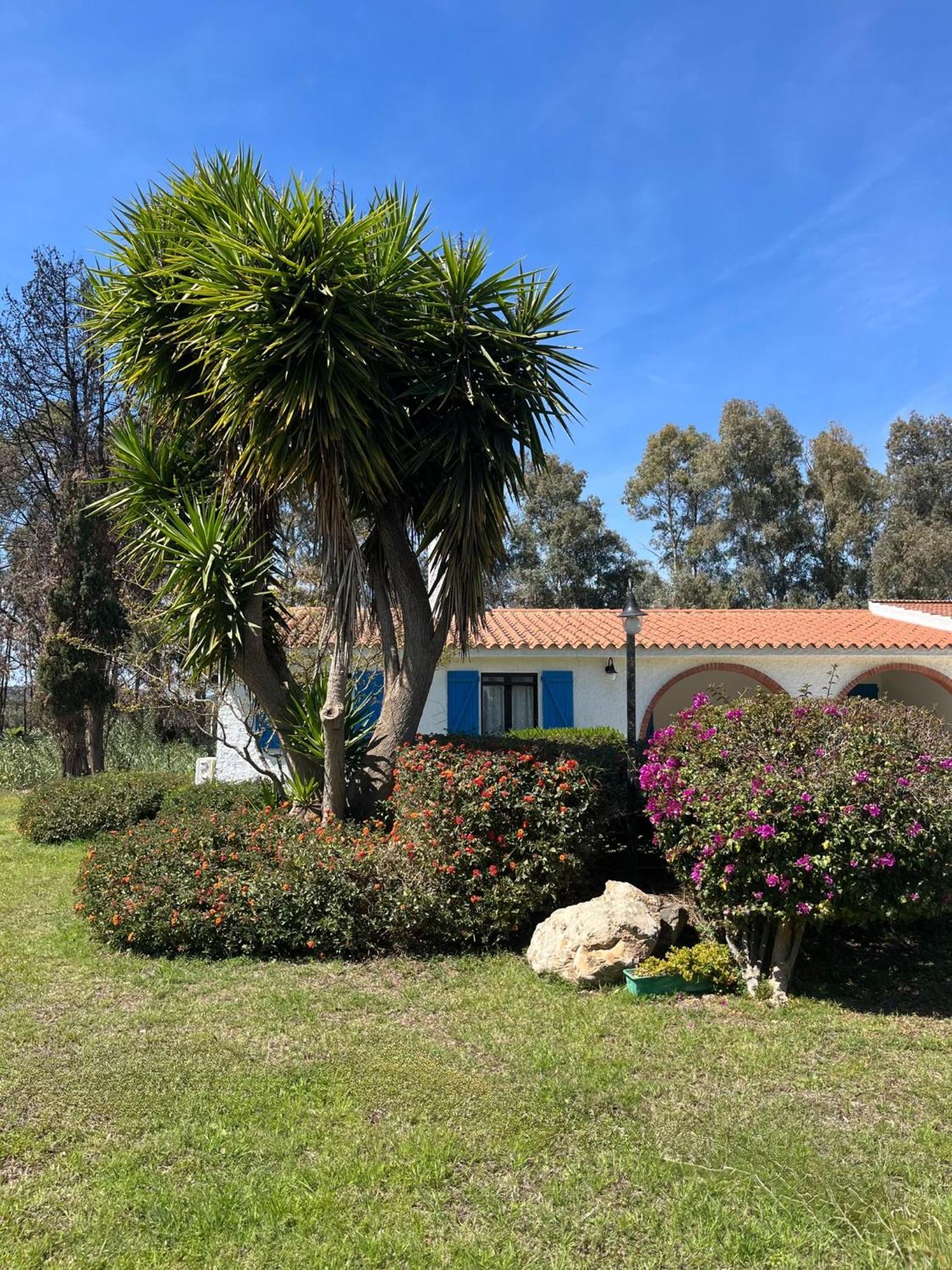 San PriamoBidd'E Majori住宿加早餐旅馆 外观 照片